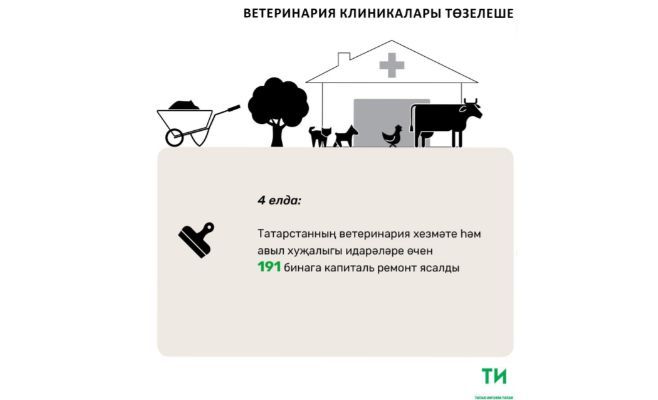 2013 елдан Татарстанда 126 ветеринария клиникасы төзелгән