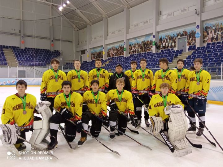 Алабуганың «Лесные пчелы» хоккей командасы — Бөтенроссия ярыш призеры