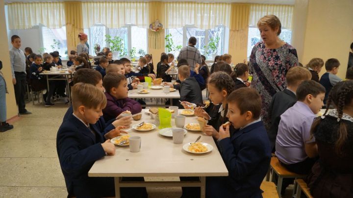 Татарстанда мәктәпләрдә туклану мәсьәләләре буенча кайнар линия ачылды