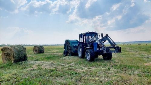 Алабуга районында кышка 9153 тонна печән әзерләнгән