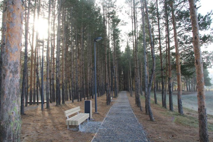 Татарстанда температура көндез −3 градуска кадәр төшәчәк