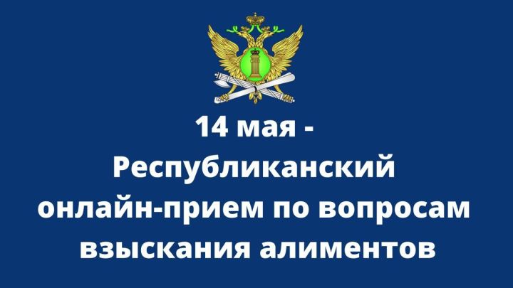 Татарстанның суд приставлары хезмәте алиментлар түләтү мәсьәләсе буенча гражданнарны кабул итәчәк