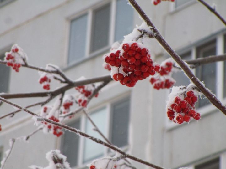 Алабугада иртәгә 15 градус салкын булачак