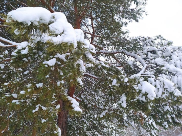 Белгеч март аеның суык һәм явым-төшемле булачагын искәртте