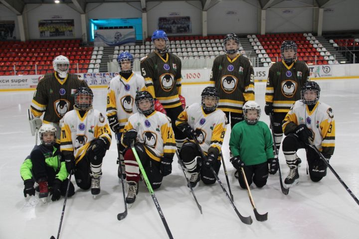 Алабугада сәламәтлеге үзенчәлекле балалар өчен аерым хоккей командасы оештырылды